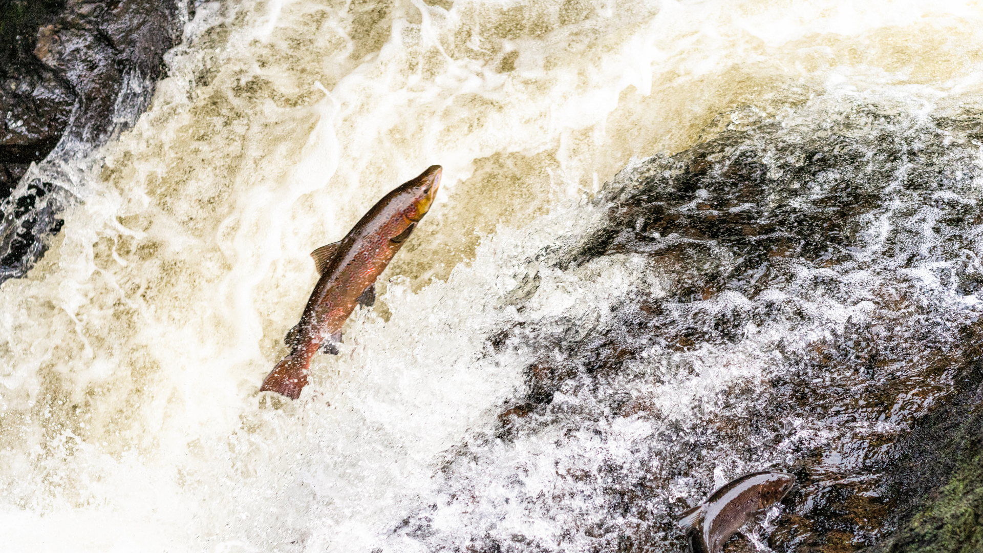 Untitled design (23)