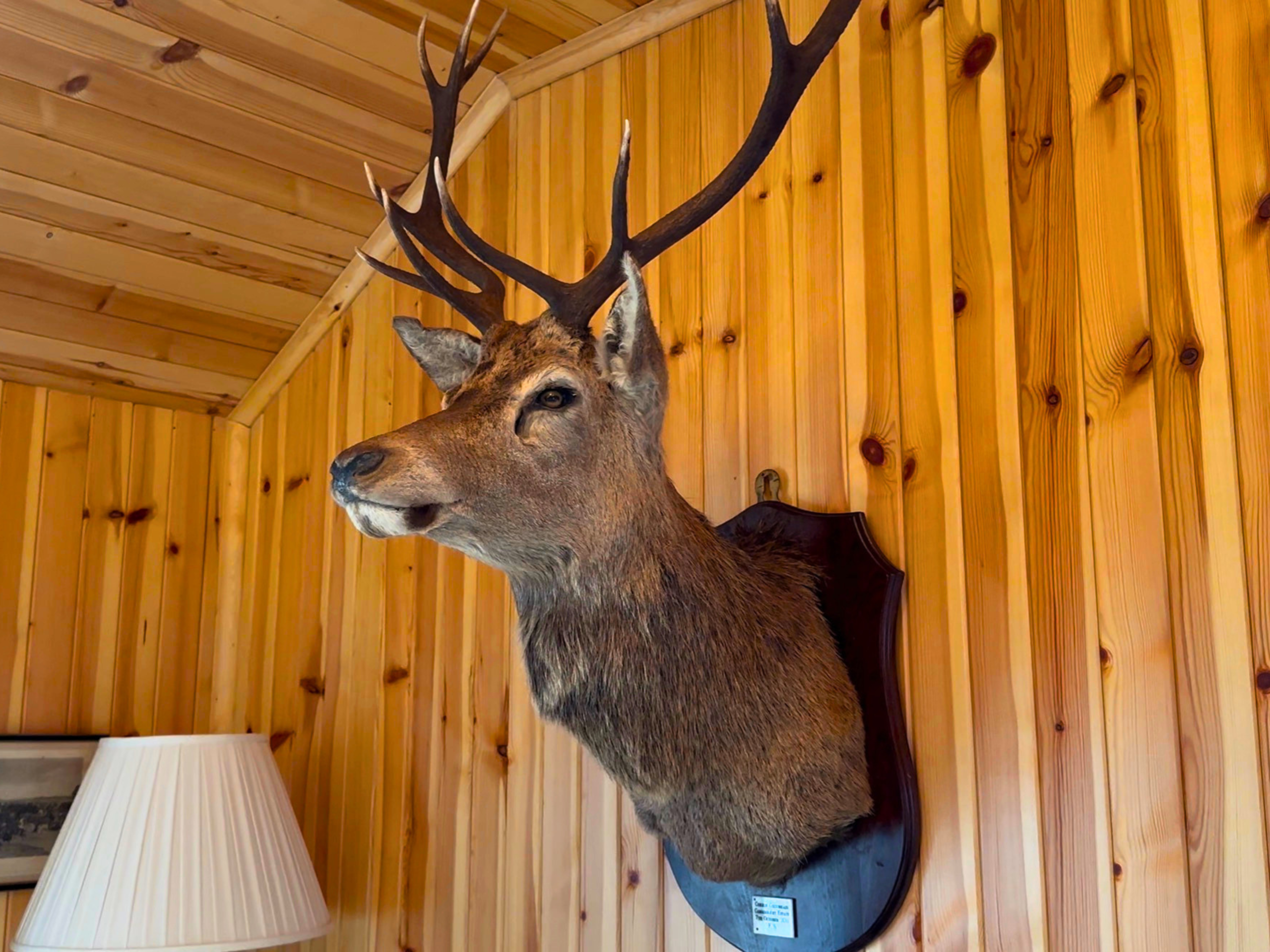 A stag's head in the open plan dining room of Culra Lodge (Ben Alder Estate).