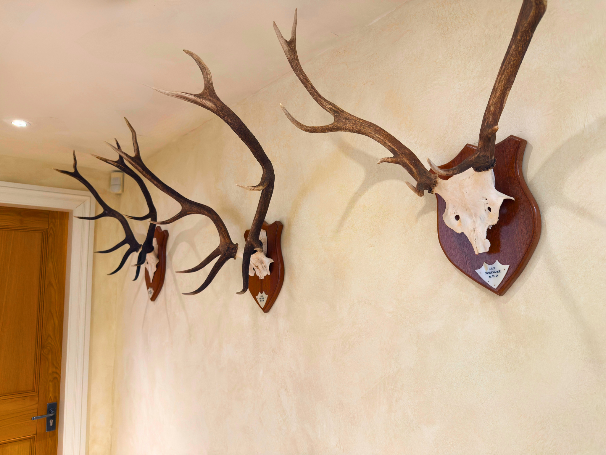 Decorative antlers from Dalnaspidal Lodge (Ben Alder Estate).