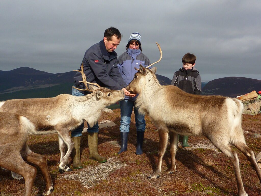 The Reindeer Centre