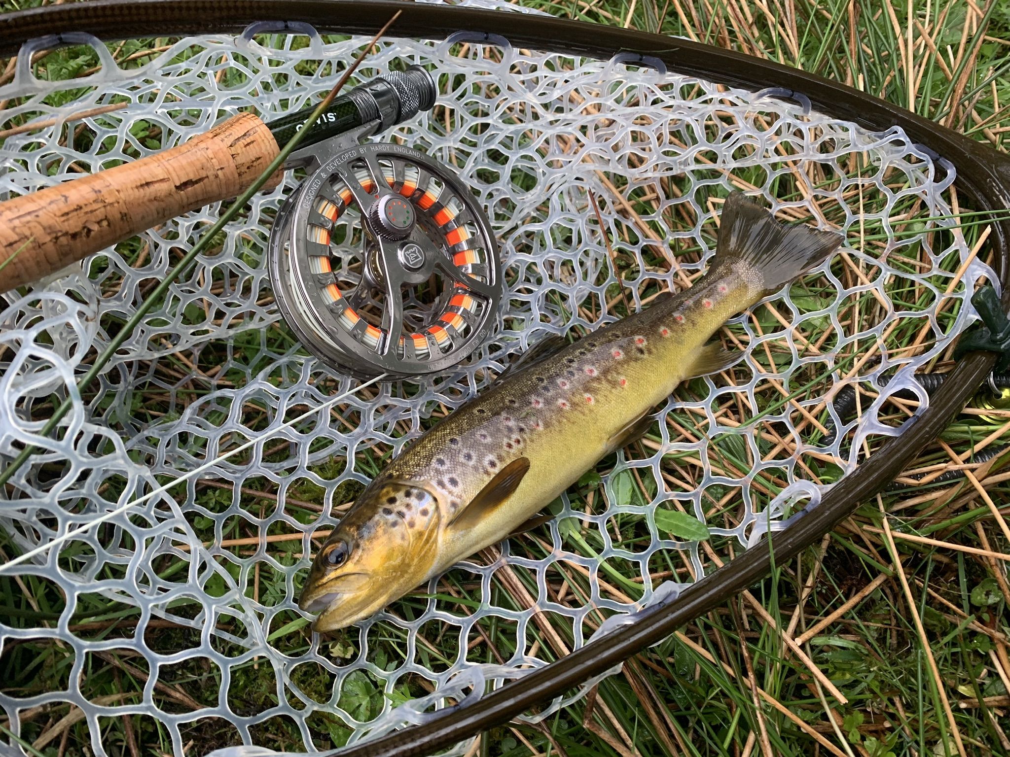 A caught fish off Loch Ericht (Ben Alder Estate).
