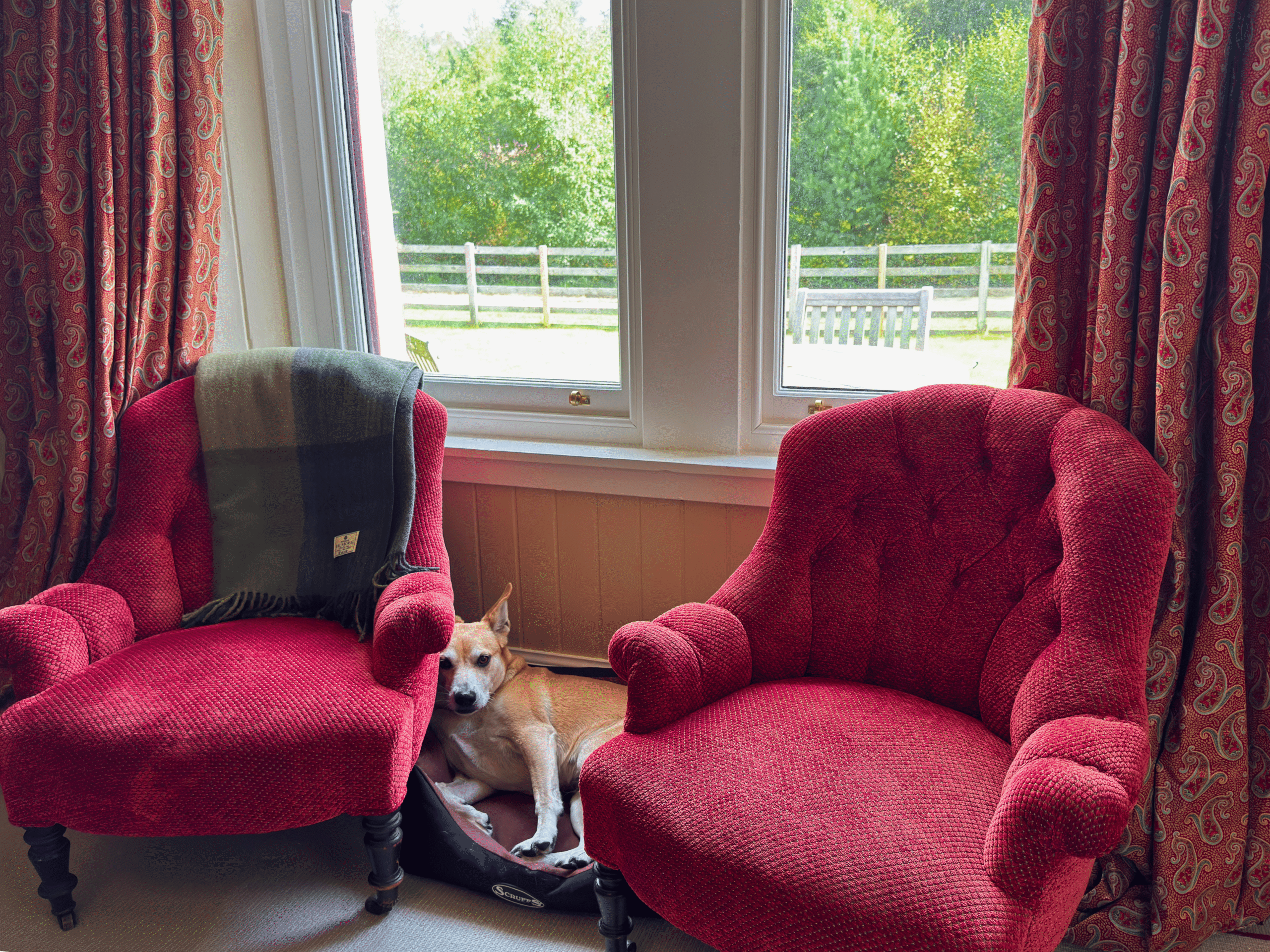 A dog sits between two chairs in the living room of Strathmashie Cottage (Ben Alder Estate).