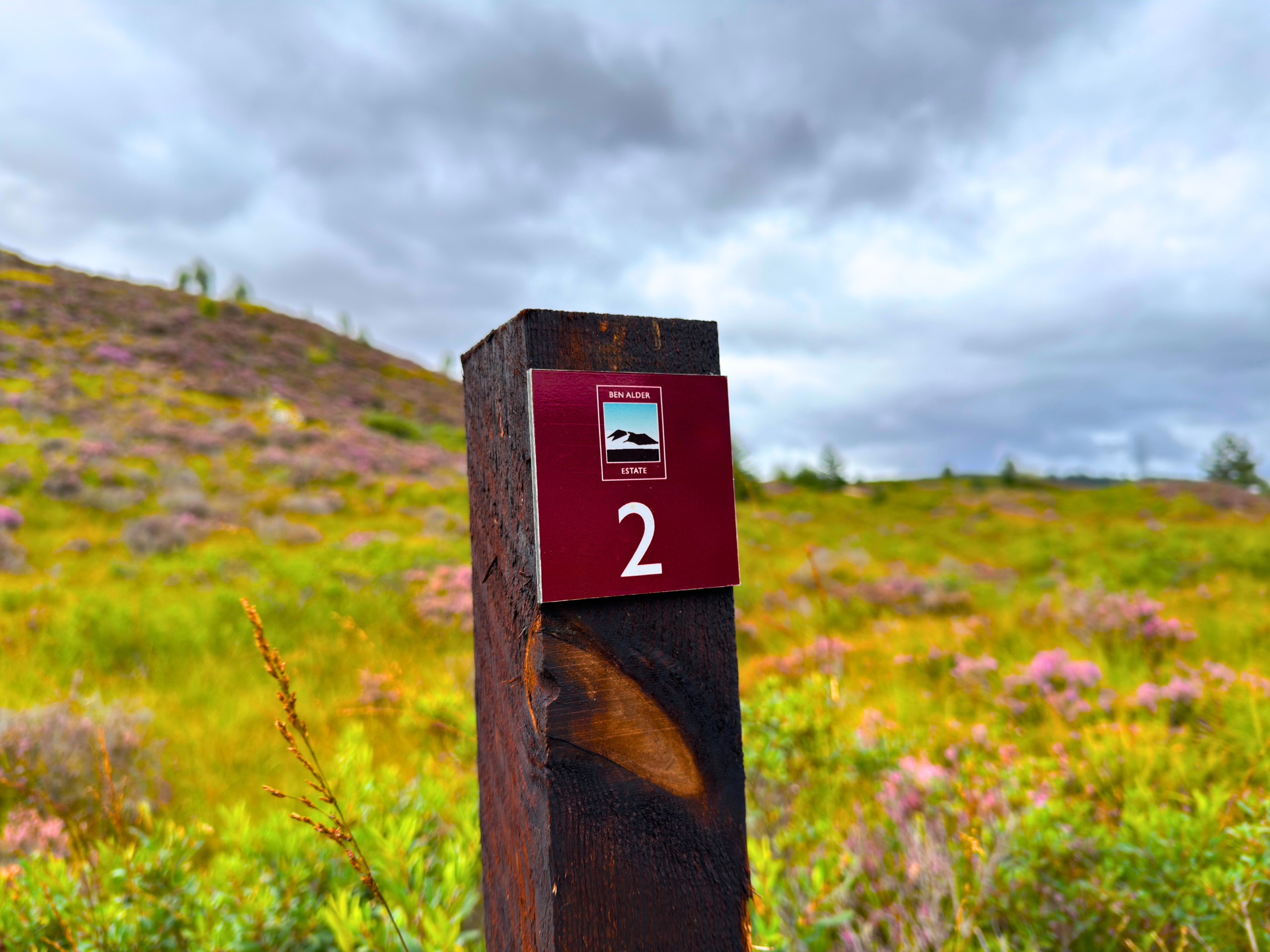 A simulated shoot at Ben Alder Estate.